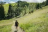 A person wearing a backpack walks along a grassy trail surrounded by green hills, trees, and a partly cloudy sky on a bright, sunny day.